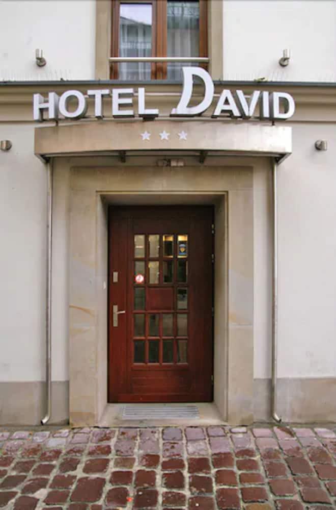 David Boutique Hotel Krasków Dış mekan fotoğraf